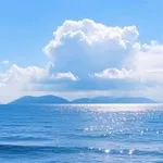 Miguel Ángel avatar