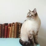 Mónica Rivas avatar