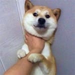 Gabriela Soto avatar